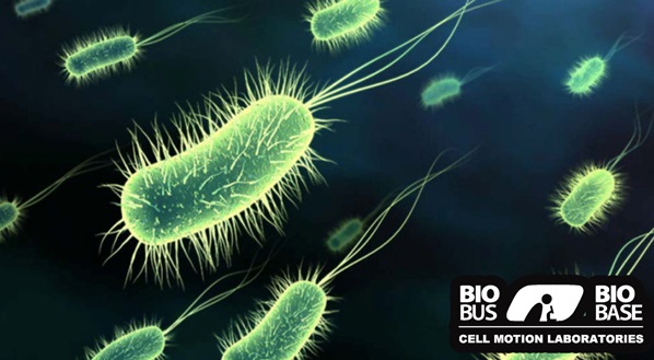 Free Drinks, Fast Science: Meet your microbiome!