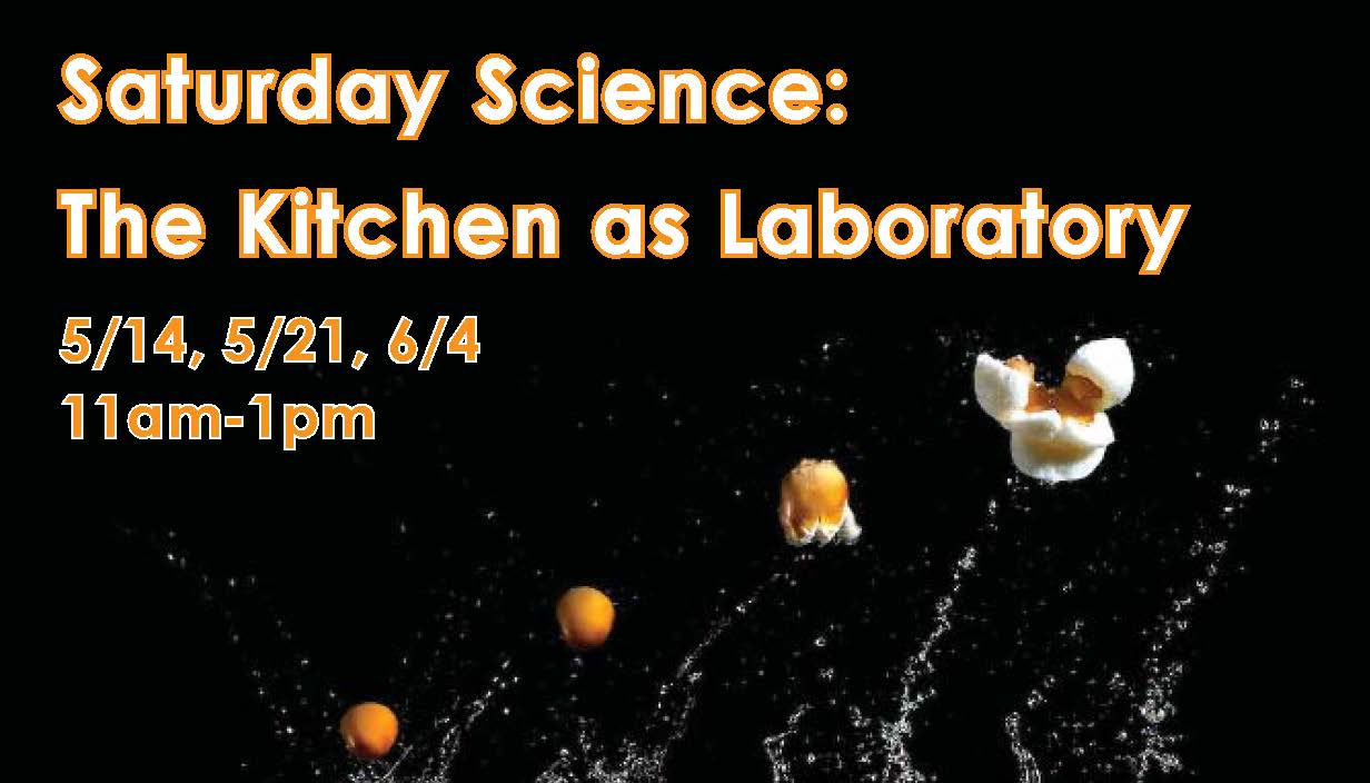 Saturday Science May Sessions!