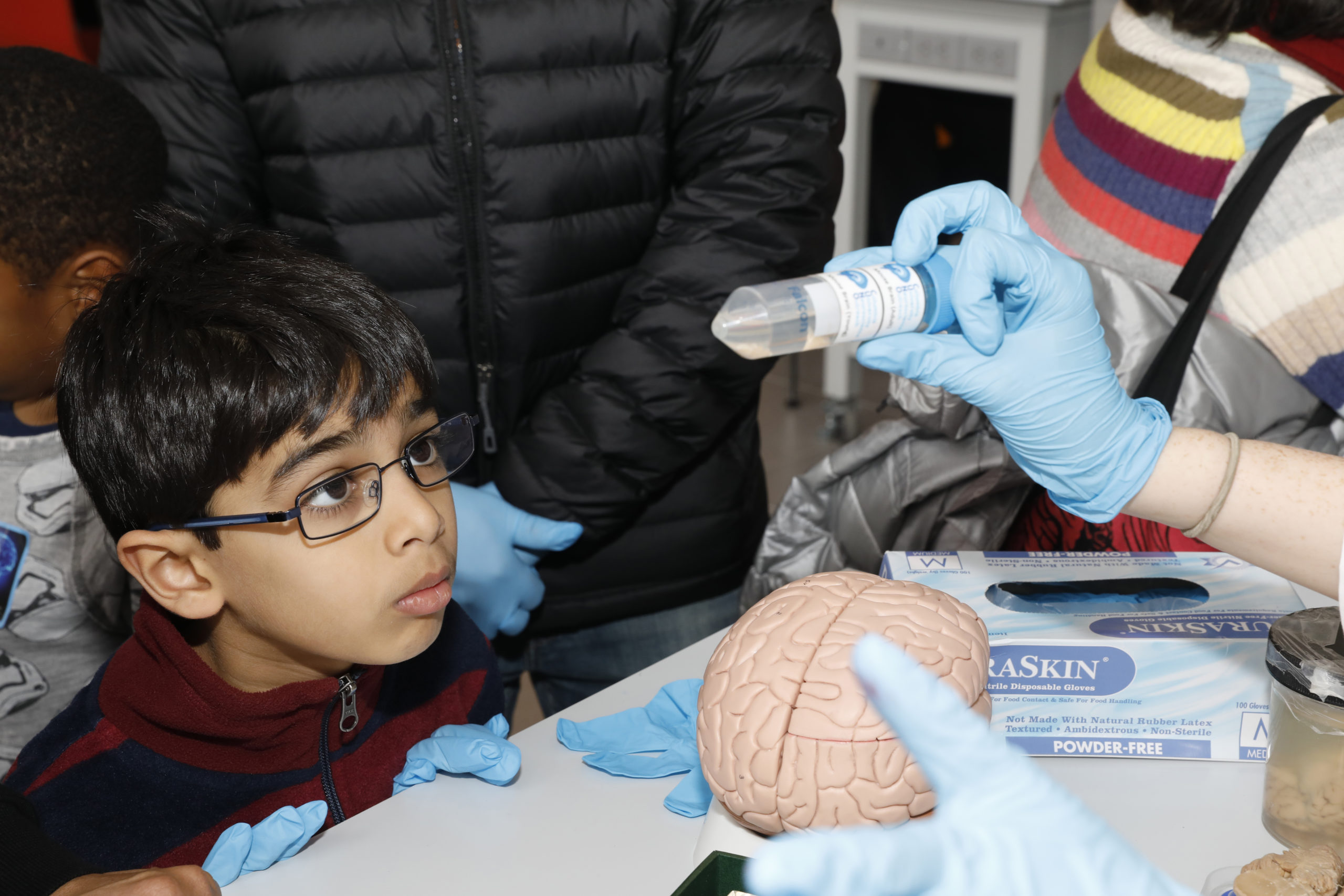 POSTPONED Brain Awareness Week on the BioBus