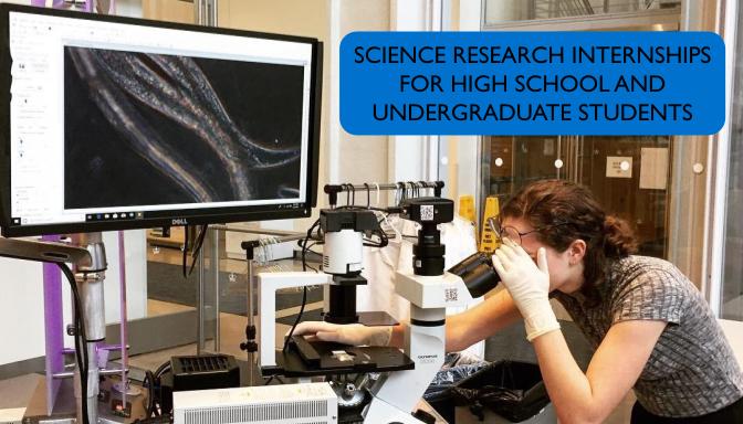 Learn about our Junior Scientist Internship!