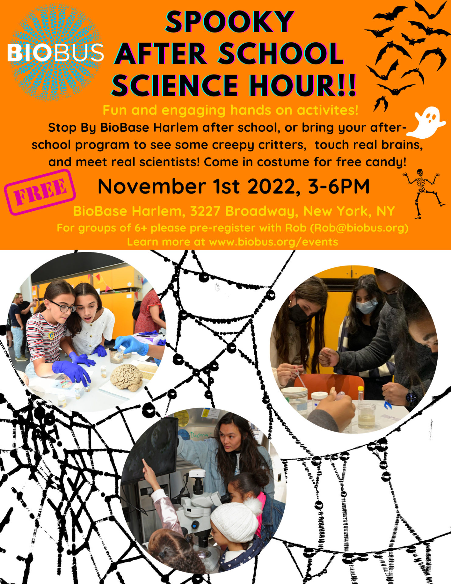 Spooky After School Hour Science!