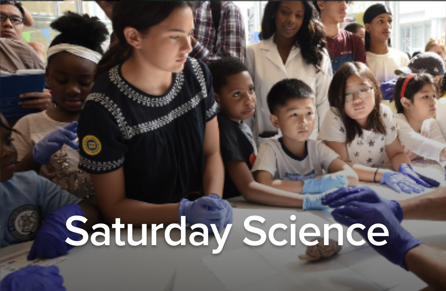 Saturday Science at Columbia's Zuckerman Institute: The Mind in Bloom
