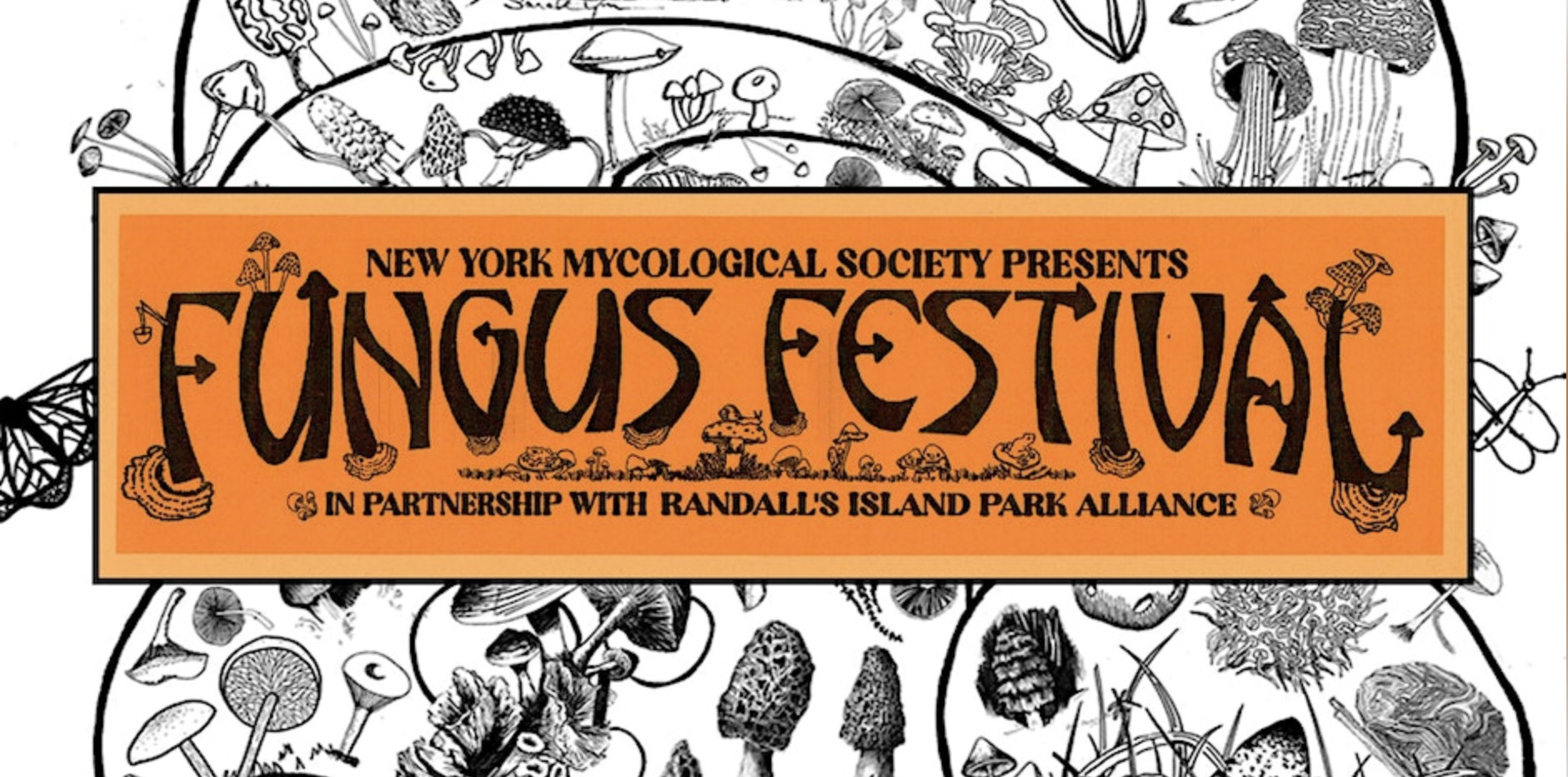 New York City Mycology Society's Fungus Festival on the Randall's Island Urban Farm